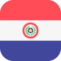 Buscador de Ruc Paraguay